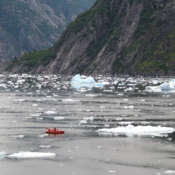 Icy Waters - Tracy Arm Fjord AK