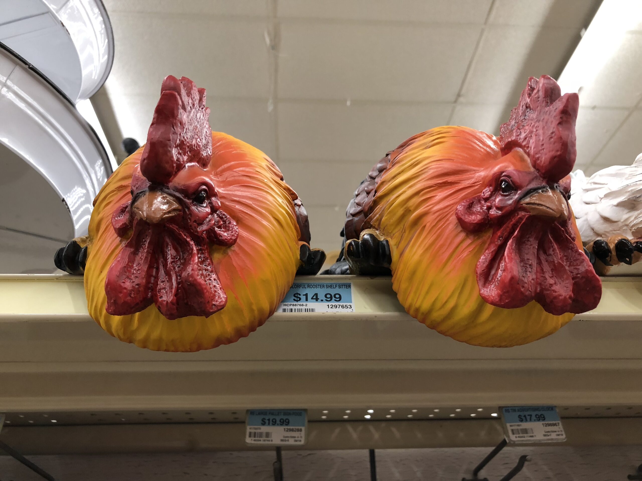 Angry chickens - Tractor Supply - Jamestown TN