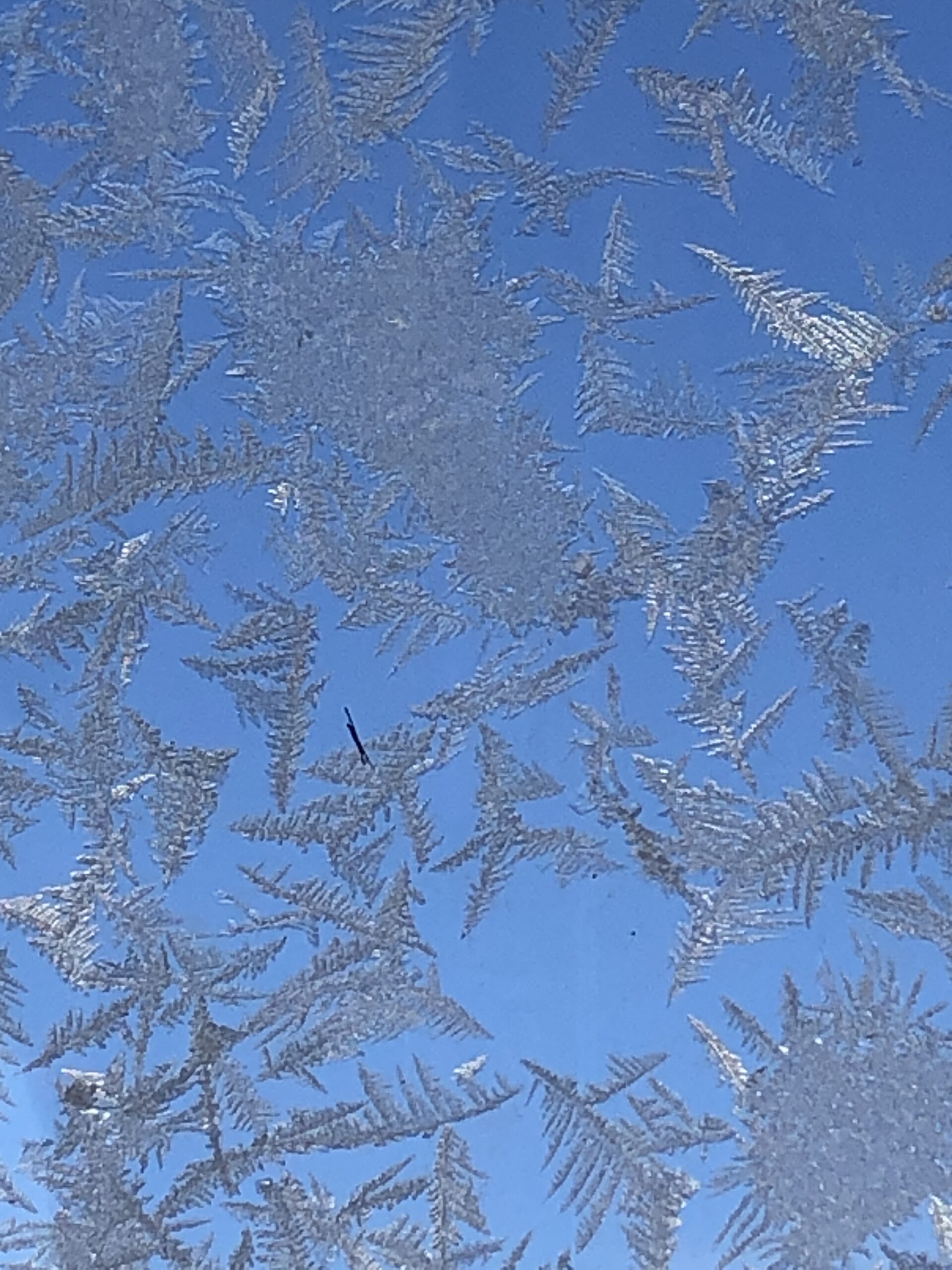 Ice snowflakes on storm door - Clarkrange TN