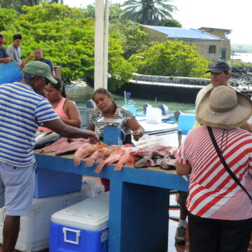 Fish market Galapagos EC